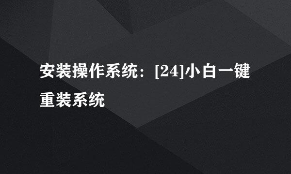 安装操作系统：[24]小白一键重装系统