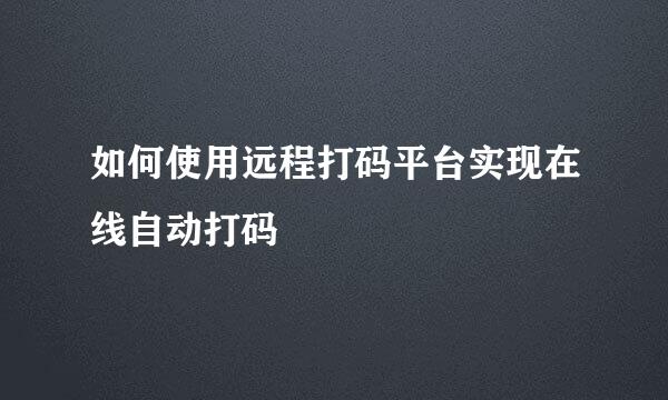 如何使用远程打码平台实现在线自动打码