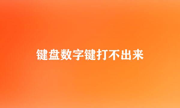 键盘数字键打不出来