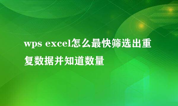 wps excel怎么最快筛选出重复数据并知道数量