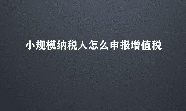 小规模纳税人怎么申报增值税