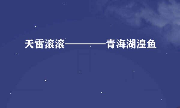 天雷滚滚————青海湖湟鱼
