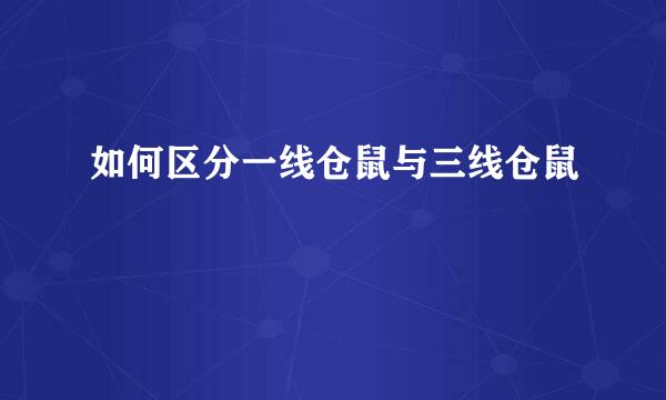 如何区分一线仓鼠与三线仓鼠