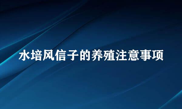 水培风信子的养殖注意事项