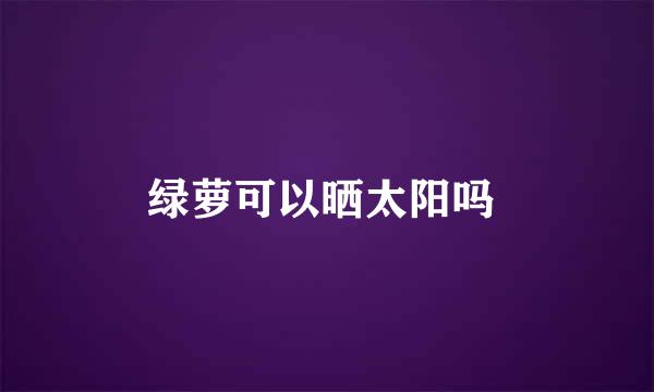 绿萝可以晒太阳吗 