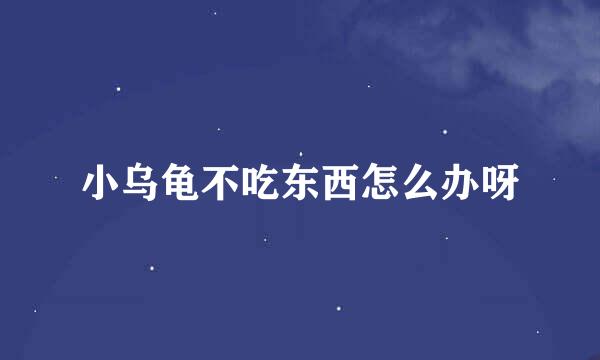 小乌龟不吃东西怎么办呀