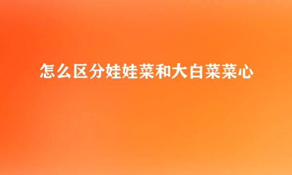 怎么区分娃娃菜和大白菜菜心