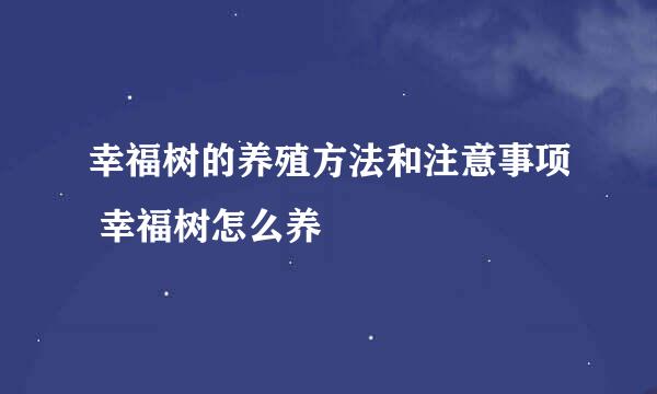 幸福树的养殖方法和注意事项 幸福树怎么养