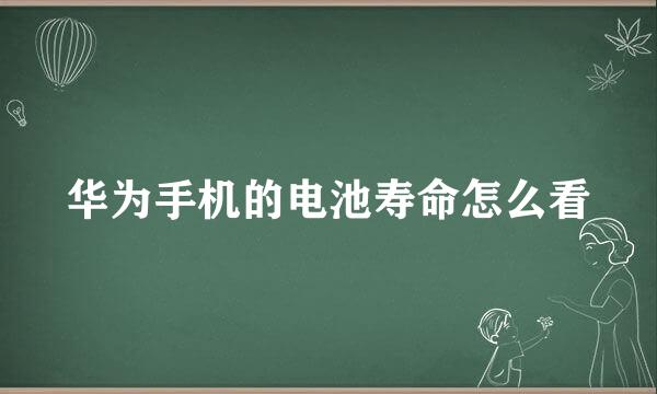 华为手机的电池寿命怎么看