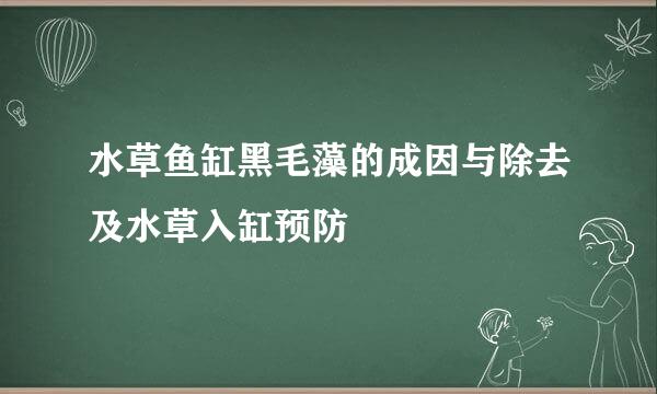 水草鱼缸黑毛藻的成因与除去及水草入缸预防