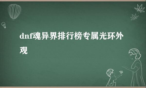 dnf魂异界排行榜专属光环外观