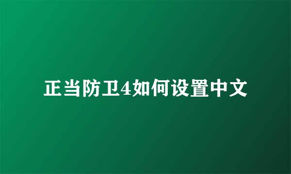 正当防卫4如何设置中文