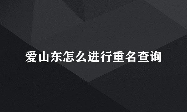 爱山东怎么进行重名查询