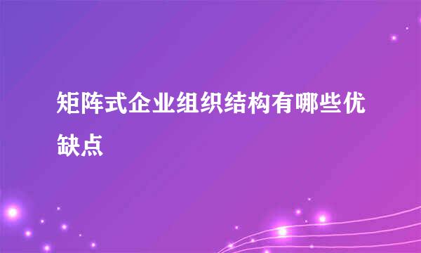 矩阵式企业组织结构有哪些优缺点