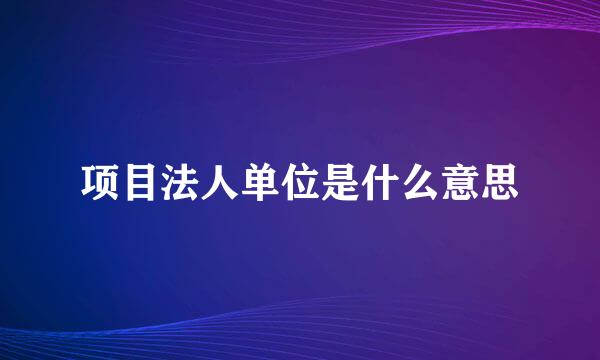 项目法人单位是什么意思