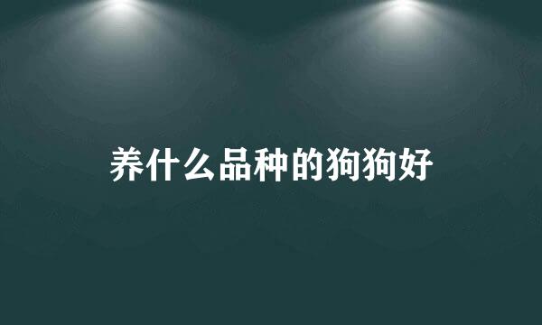 养什么品种的狗狗好