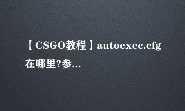 【CSGO教程】autoexec.cfg在哪里?参数怎么保存