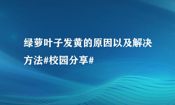 绿萝叶子发黄的原因以及解决方法#校园分享#