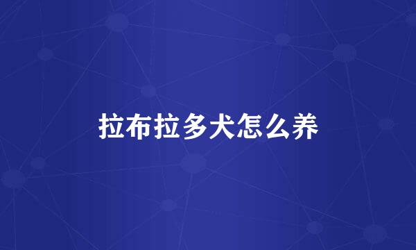 拉布拉多犬怎么养