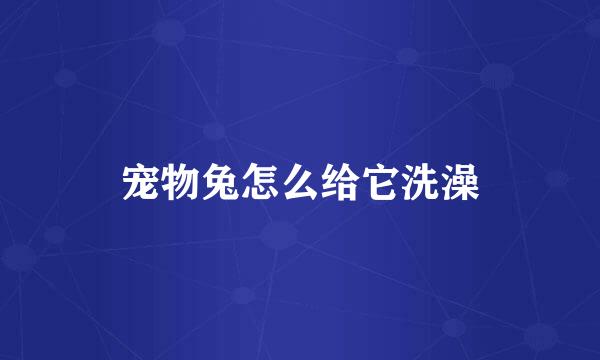 宠物兔怎么给它洗澡