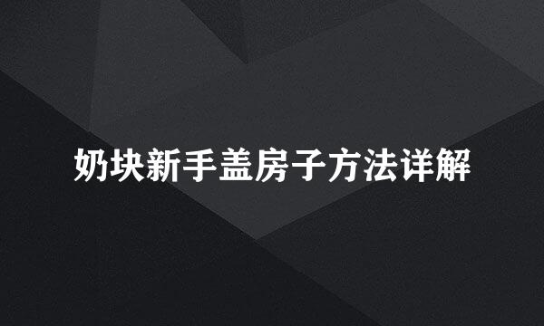 奶块新手盖房子方法详解
