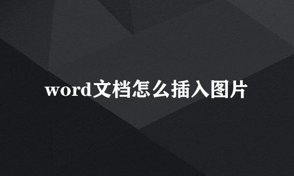 word文档怎么插入图片