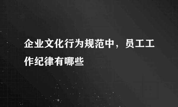 企业文化行为规范中，员工工作纪律有哪些