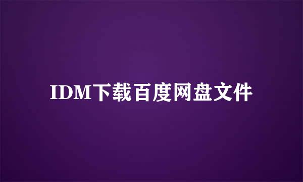 IDM下载百度网盘文件