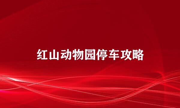 红山动物园停车攻略