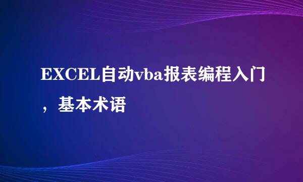 EXCEL自动vba报表编程入门，基本术语