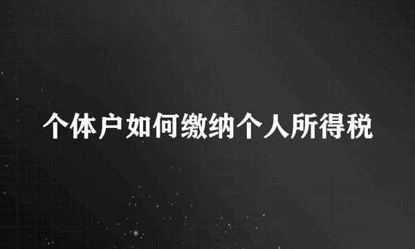 个体户如何缴纳个人所得税