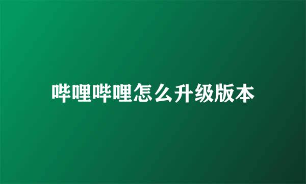 哔哩哔哩怎么升级版本