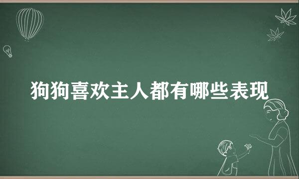 狗狗喜欢主人都有哪些表现