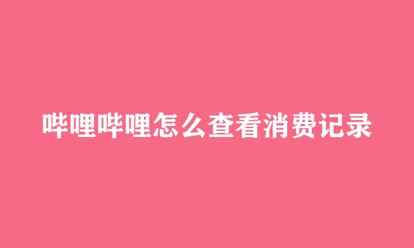 哔哩哔哩怎么查看消费记录