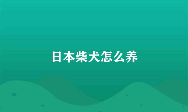 日本柴犬怎么养