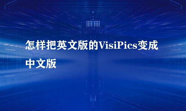 怎样把英文版的VisiPics变成中文版