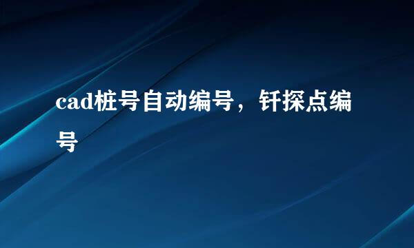 cad桩号自动编号，钎探点编号