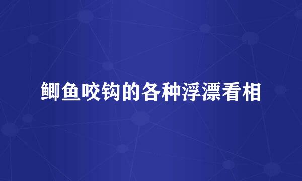 鲫鱼咬钩的各种浮漂看相