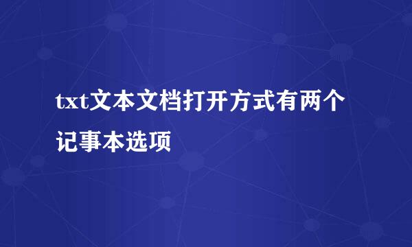 txt文本文档打开方式有两个记事本选项