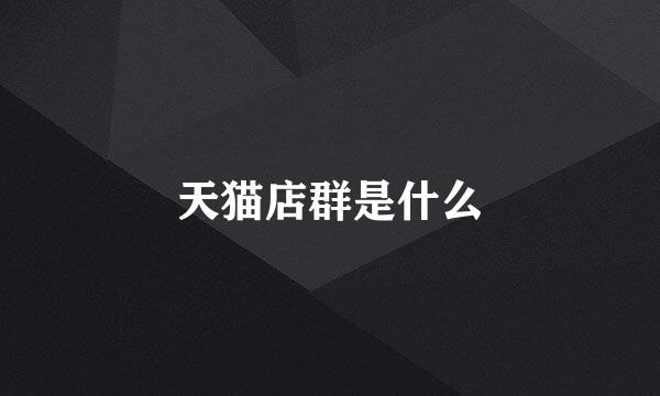 天猫店群是什么