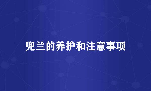 兜兰的养护和注意事项