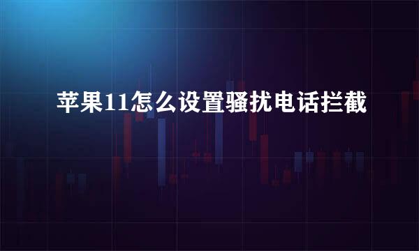 苹果11怎么设置骚扰电话拦截
