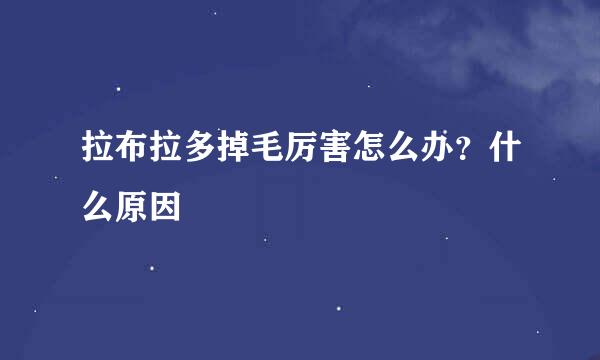 拉布拉多掉毛厉害怎么办？什么原因