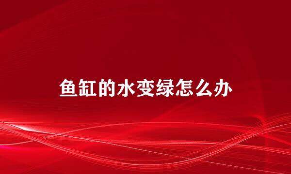 鱼缸的水变绿怎么办