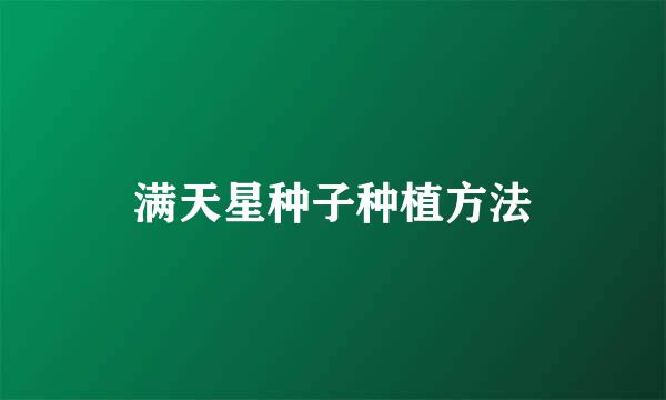 满天星种子种植方法