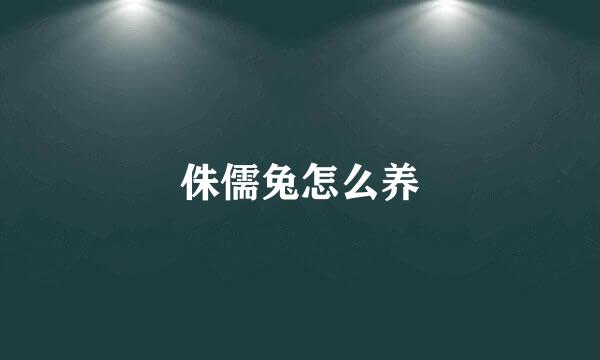 侏儒兔怎么养