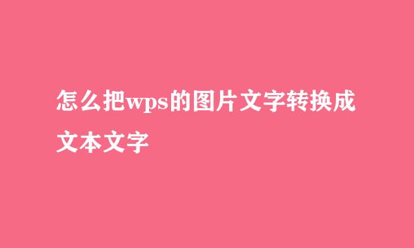怎么把wps的图片文字转换成文本文字