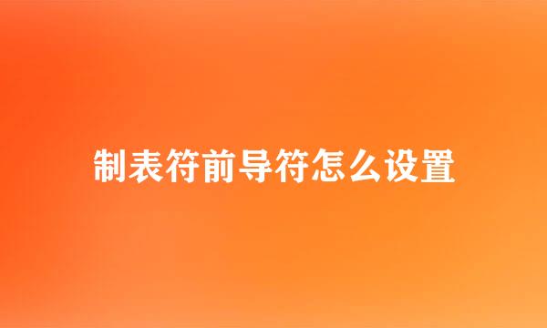 制表符前导符怎么设置