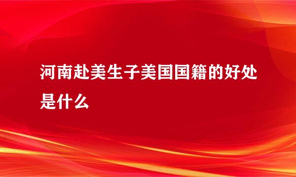 河南赴美生子美国国籍的好处是什么