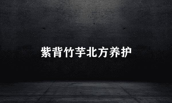 紫背竹芋北方养护
